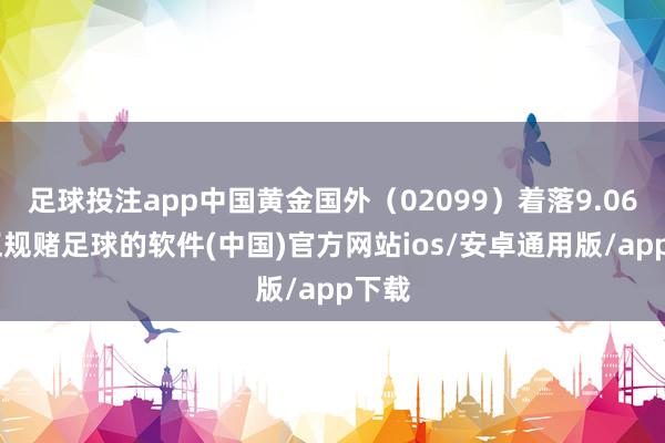 足球投注app中国黄金国外（02099）着落9.06%-正规赌足球的软件(中国)官方网站ios/安卓通用版/app下载