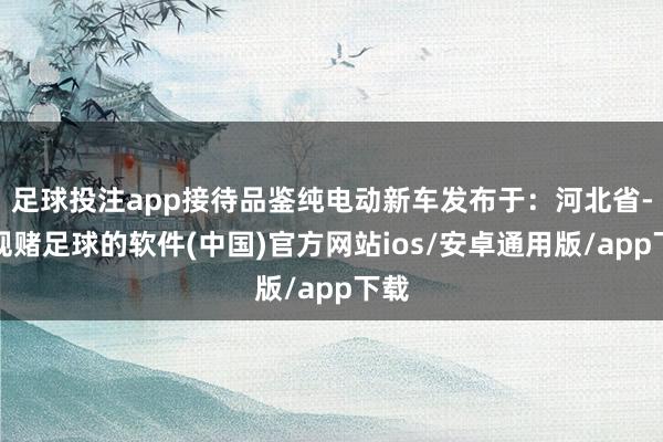 足球投注app接待品鉴纯电动新车发布于：河北省-正规赌足球的软件(中国)官方网站ios/安卓通用版/app下载