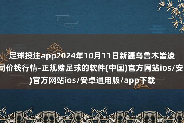 足球投注app2024年10月11日新疆乌鲁木皆凌庆蔬菜果品有限公司价钱行情-正规赌足球的软件(中国)官方网站ios/安卓通用版/app下载