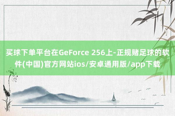 买球下单平台在GeForce 256上-正规赌足球的软件(中国)官方网站ios/安卓通用版/app下载