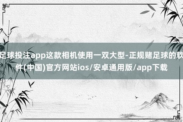 足球投注app这款相机使用一双大型-正规赌足球的软件(中国)官方网站ios/安卓通用版/app下载