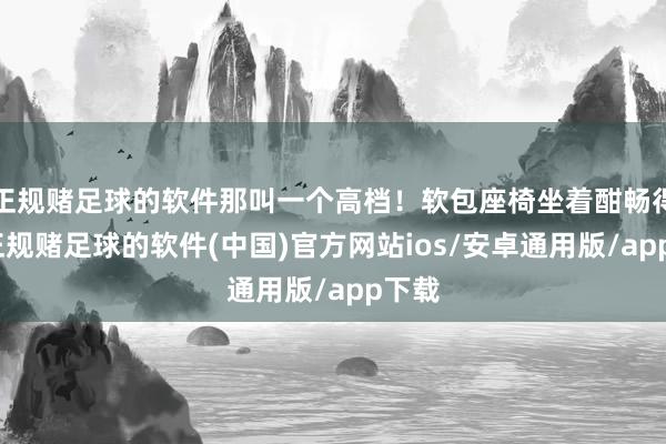 正规赌足球的软件那叫一个高档！软包座椅坐着酣畅得很-正规赌足球的软件(中国)官方网站ios/安卓通用版/app下载