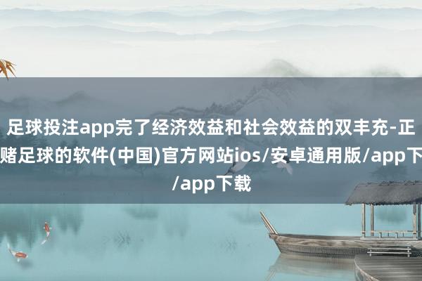 足球投注app完了经济效益和社会效益的双丰充-正规赌足球的软件(中国)官方网站ios/安卓通用版/app下载