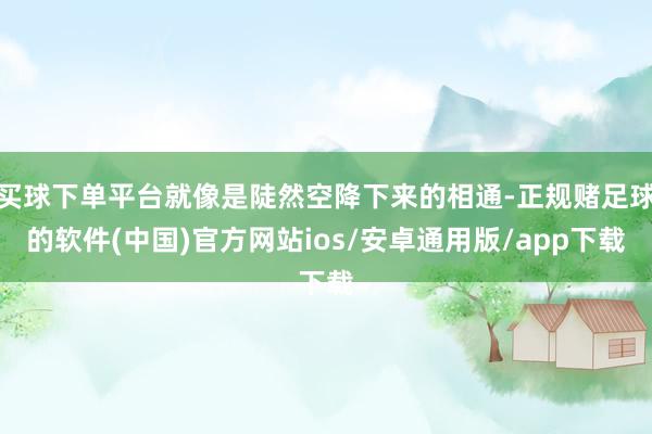 买球下单平台就像是陡然空降下来的相通-正规赌足球的软件(中国)官方网站ios/安卓通用版/app下载