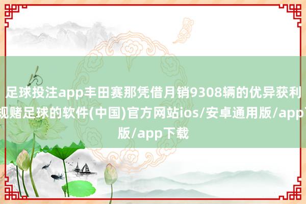 足球投注app丰田赛那凭借月销9308辆的优异获利-正规赌足球的软件(中国)官方网站ios/安卓通用版/app下载