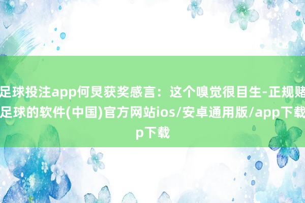 足球投注app何炅获奖感言：这个嗅觉很目生-正规赌足球的软件(中国)官方网站ios/安卓通用版/app下载